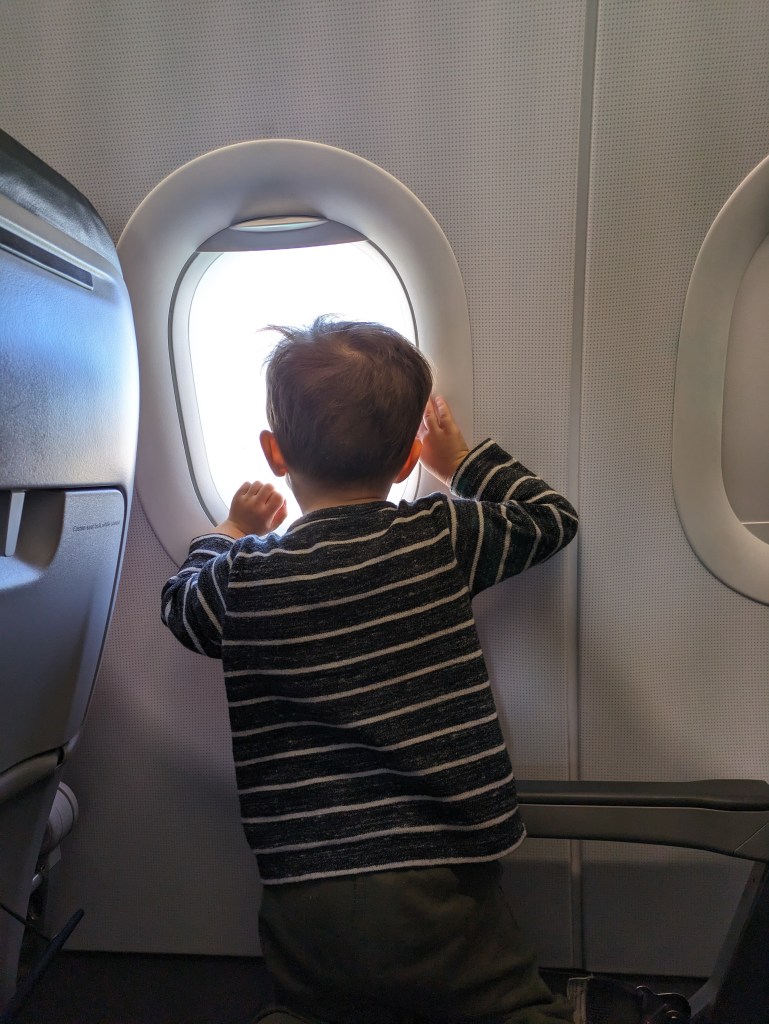 A toddler boy looks out the window of an airplane.